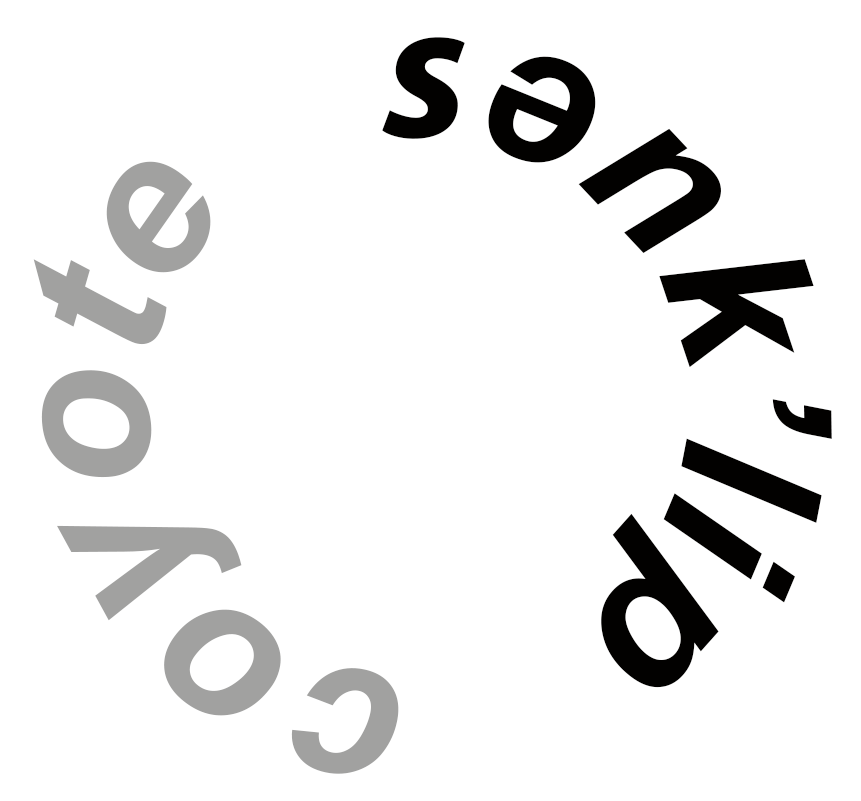 coyote in syilx